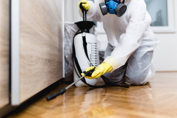 Best Best Pest Control Companies  in Mcalester, OK