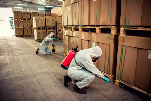 Best Local Pest Control Services  in Mcalester, OK