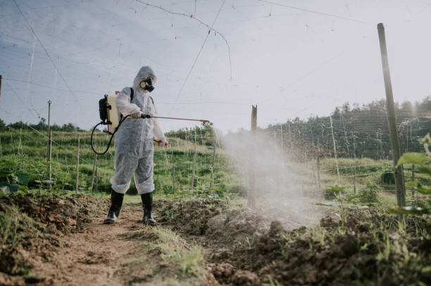 Best Pest Control Treatment  in Mcalester, OK