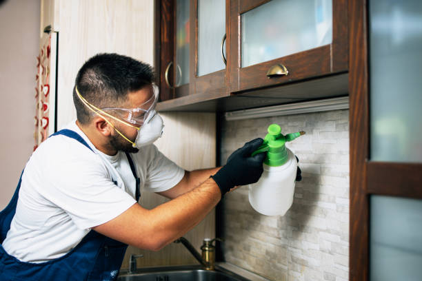 Trusted Mcalester, OK Pest Control Experts