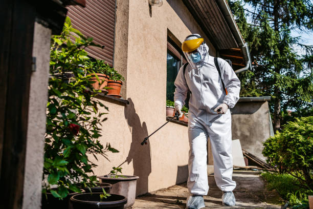 Best Pest Inspection Near Me  in Mcalester, OK
