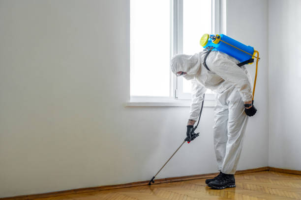 Best Pest Control Near Me in Mcalester, OK