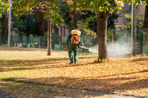Best Wildlife Control Services  in Mcalester, OK