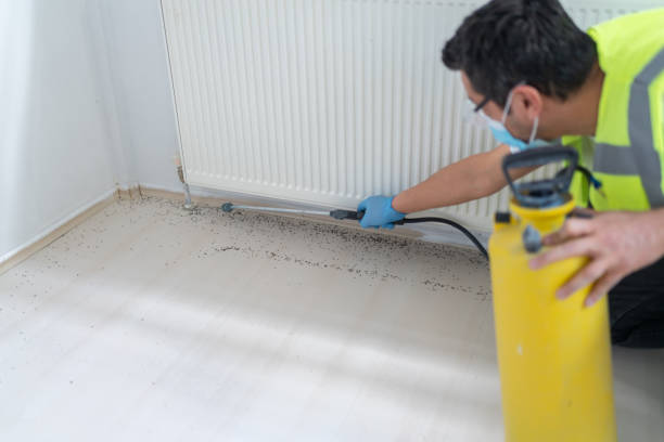 Best Flea Control Services  in Mcalester, OK