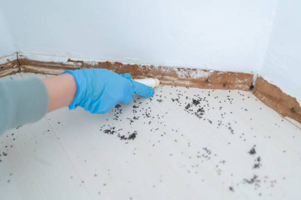 Best Residential Pest Control  in Mcalester, OK
