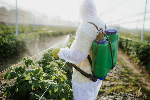 Best Pest Control Near Me  in Mcalester, OK